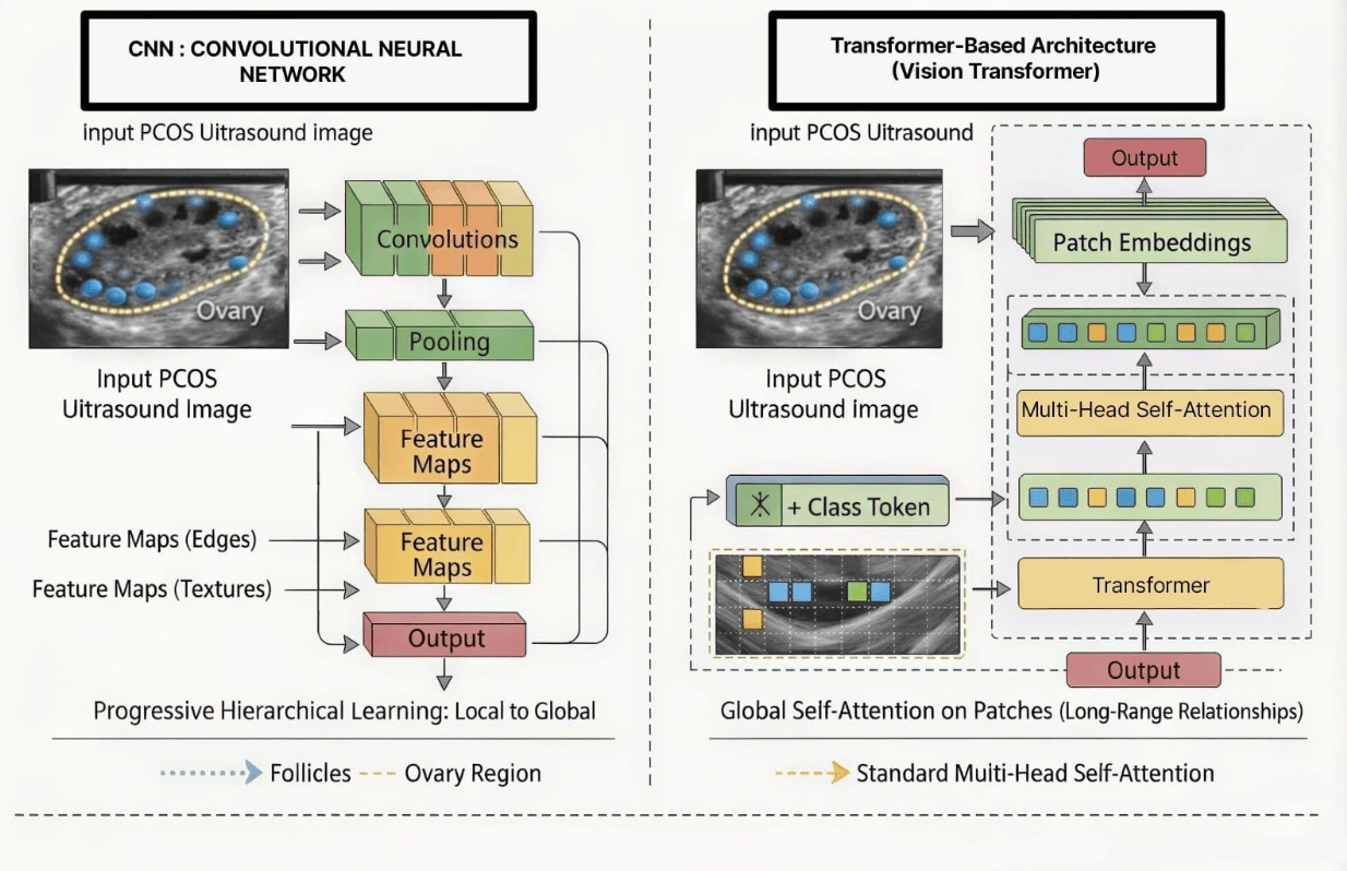 Side-by-side diagram of a CNN pipeline (convolutions, pooling, hierarchical feature maps for edges and textures) vs a Vision Transformer pipeline (patch embeddings, multi-head self-attention, class token) operating on the same PCOS ultrasound image.