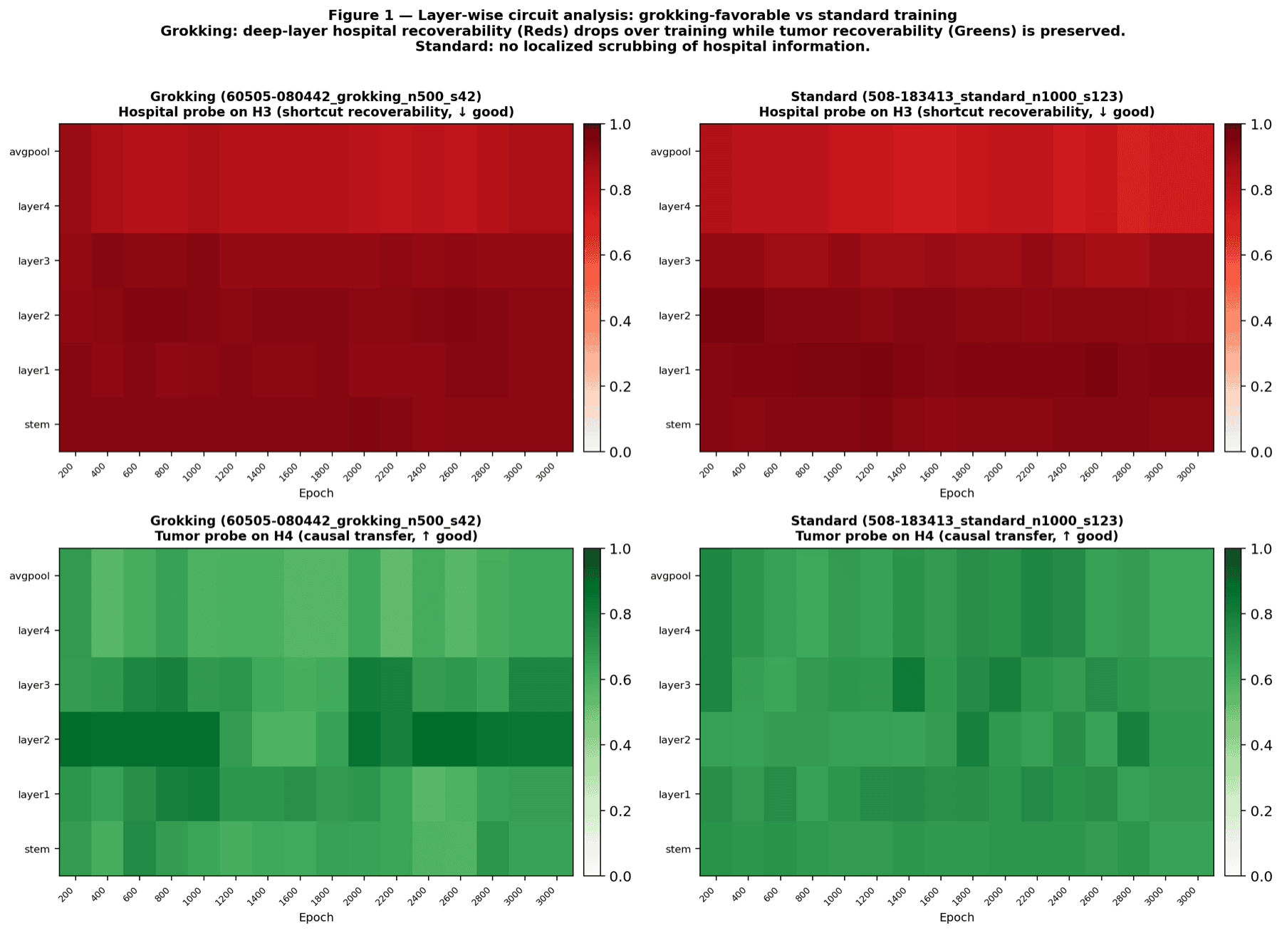 Layer-wise linear-probe heatmaps for hospital and tumour recoverability across ResNet stages and training.