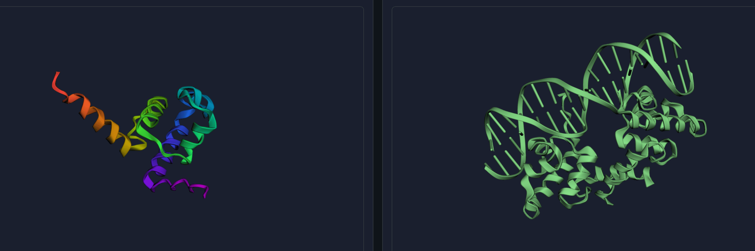 Side-by-side ribbon diagrams: ESMFold predicted protein structure (rainbow N to C) on the left, native RCSB structure (green, with bound nucleic-acid double helix) on the right.